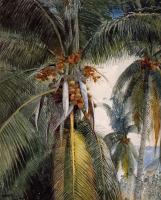 Homer, Winslow - Coconut Palms, Key West